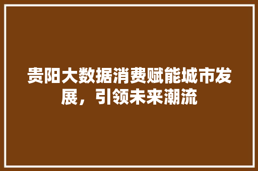 贵阳大数据消费赋能城市发展，引领未来潮流