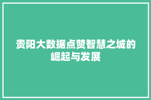 贵阳大数据点赞智慧之城的崛起与发展