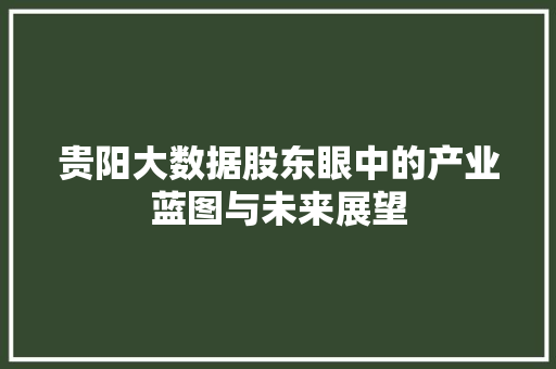贵阳大数据股东眼中的产业蓝图与未来展望