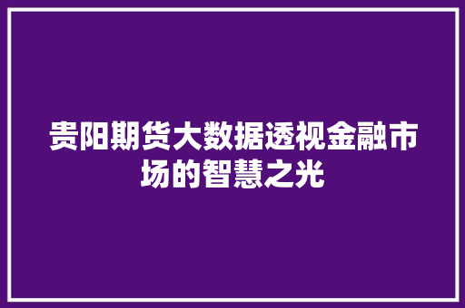 贵阳期货大数据透视金融市场的智慧之光