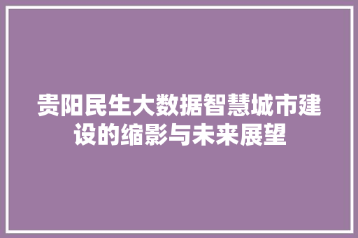 贵阳民生大数据智慧城市建设的缩影与未来展望