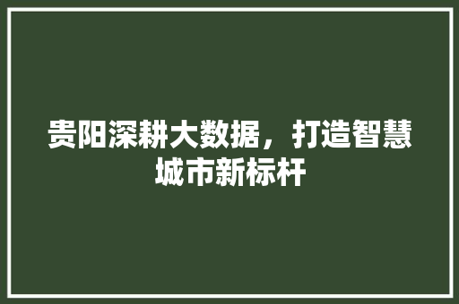 贵阳深耕大数据，打造智慧城市新标杆