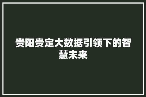 贵阳贵定大数据引领下的智慧未来