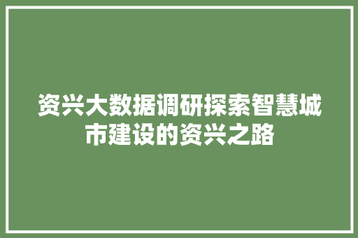资兴大数据调研探索智慧城市建设的资兴之路