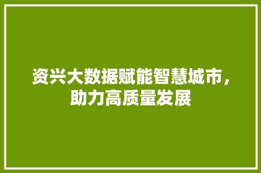 资兴大数据赋能智慧城市，助力高质量发展