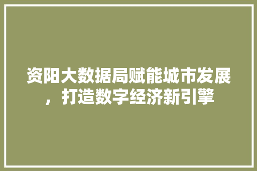 资阳大数据局赋能城市发展，打造数字经济新引擎