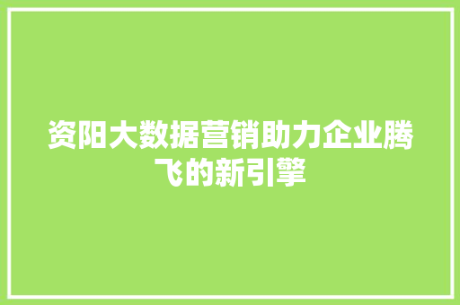 资阳大数据营销助力企业腾飞的新引擎