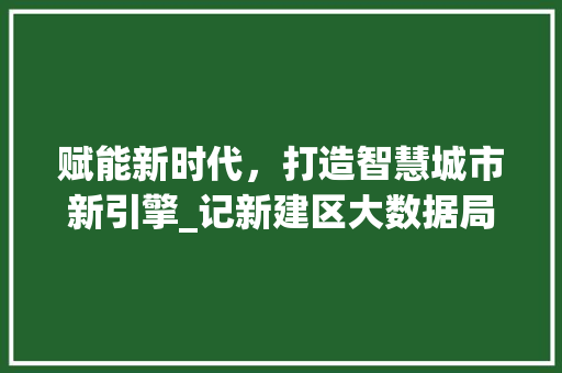 赋能新时代，打造智慧城市新引擎_记新建区大数据局的发展之路