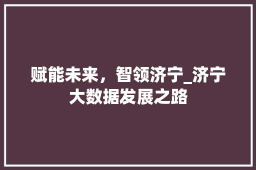 赋能未来，智领济宁_济宁大数据发展之路