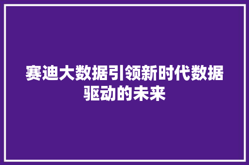 赛迪大数据引领新时代数据驱动的未来