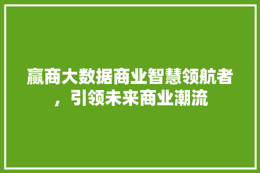 赢商大数据商业智慧领航者，引领未来商业潮流