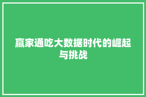 赢家通吃大数据时代的崛起与挑战