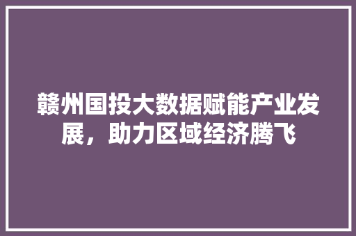 赣州国投大数据赋能产业发展，助力区域经济腾飞