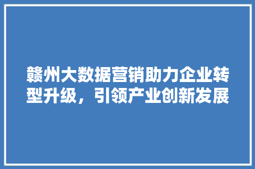 赣州大数据营销助力企业转型升级，引领产业创新发展