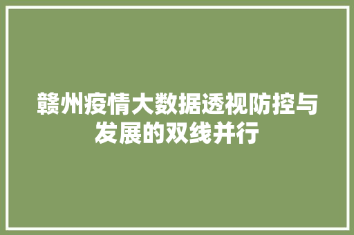 赣州疫情大数据透视防控与发展的双线并行