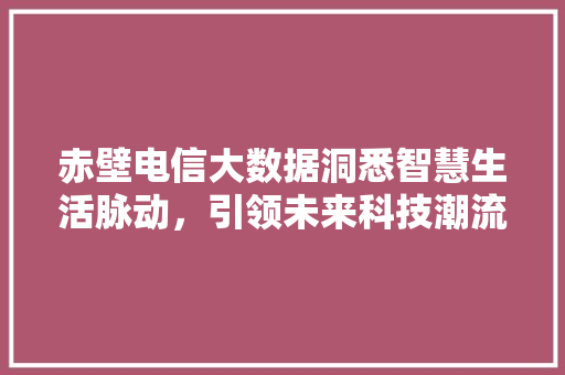赤壁电信大数据洞悉智慧生活脉动，引领未来科技潮流