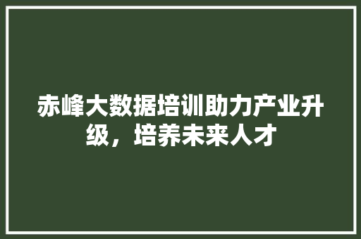 赤峰大数据培训助力产业升级，培养未来人才