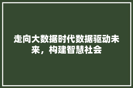走向大数据时代数据驱动未来，构建智慧社会