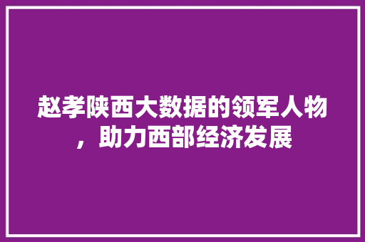 赵孝陕西大数据的领军人物，助力西部经济发展