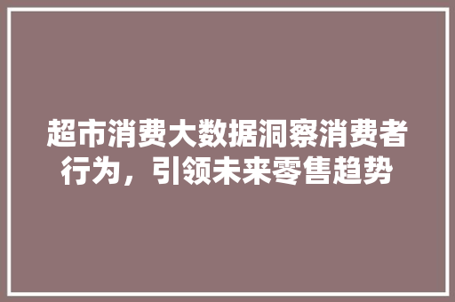 超市消费大数据洞察消费者行为，引领未来零售趋势