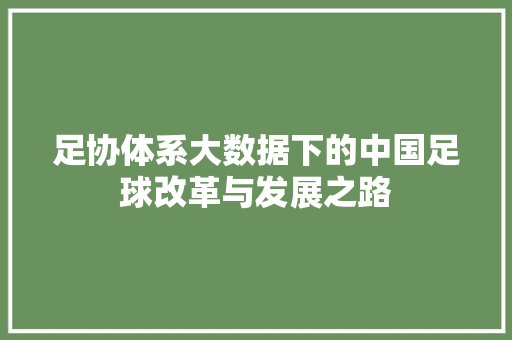 足协体系大数据下的中国足球改革与发展之路