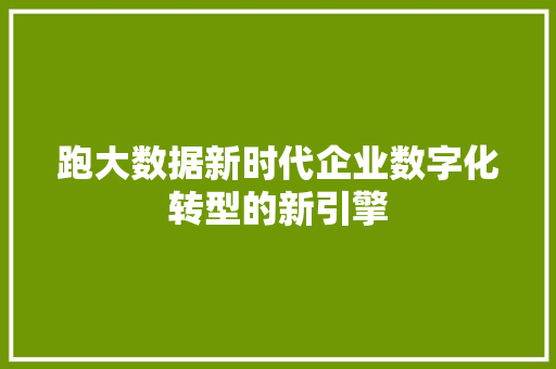 跑大数据新时代企业数字化转型的新引擎