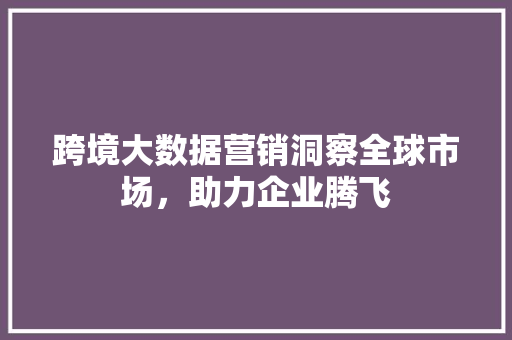 跨境大数据营销洞察全球市场，助力企业腾飞