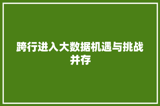 跨行进入大数据机遇与挑战并存