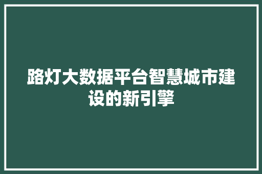 路灯大数据平台智慧城市建设的新引擎