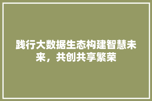 践行大数据生态构建智慧未来，共创共享繁荣
