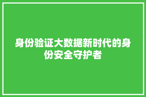 身份验证大数据新时代的身份安全守护者