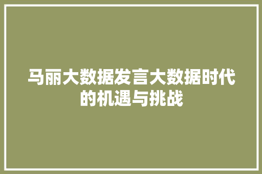 马丽大数据发言大数据时代的机遇与挑战