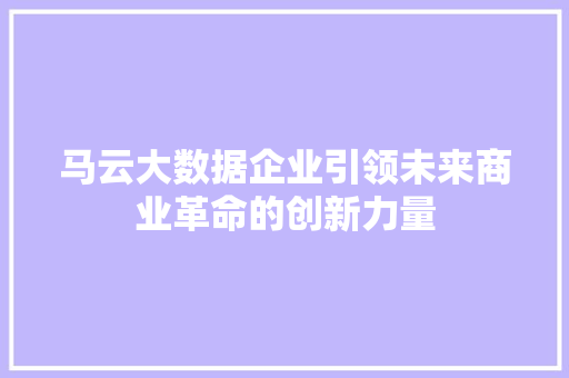 马云大数据企业引领未来商业革命的创新力量