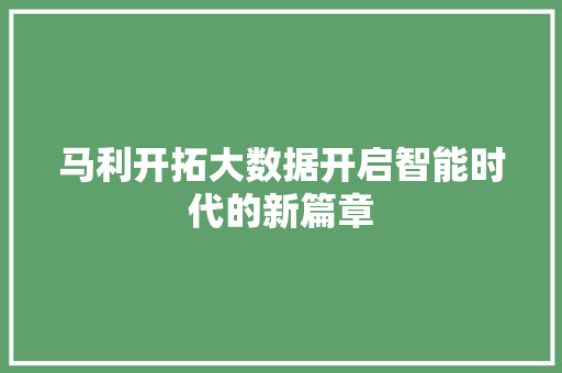 马利开拓大数据开启智能时代的新篇章