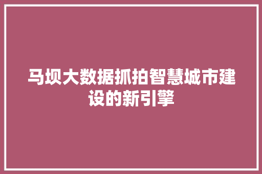 马坝大数据抓拍智慧城市建设的新引擎