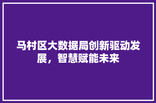 马村区大数据局创新驱动发展，智慧赋能未来