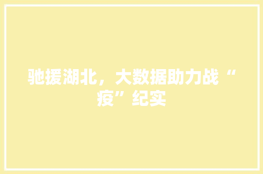 驰援湖北，大数据助力战“疫”纪实