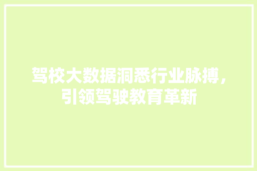 驾校大数据洞悉行业脉搏，引领驾驶教育革新
