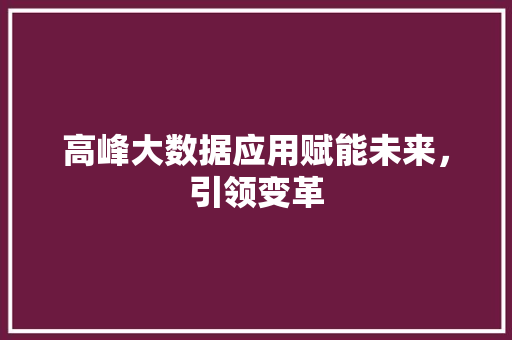 高峰大数据应用赋能未来，引领变革