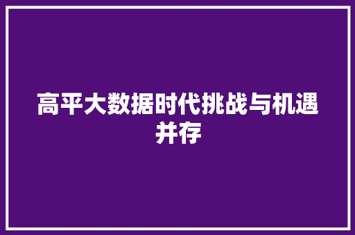 高平大数据时代挑战与机遇并存