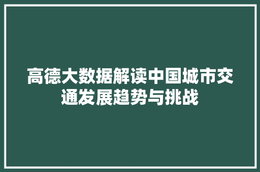 高德大数据解读中国城市交通发展趋势与挑战