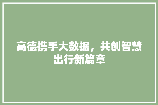 高德携手大数据，共创智慧出行新篇章