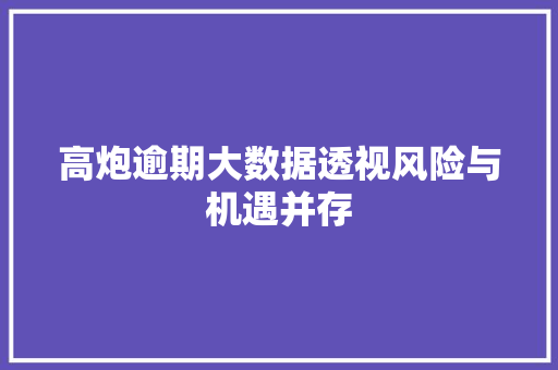 高炮逾期大数据透视风险与机遇并存