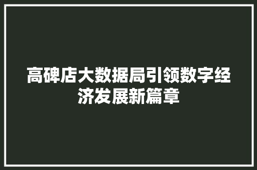 高碑店大数据局引领数字经济发展新篇章