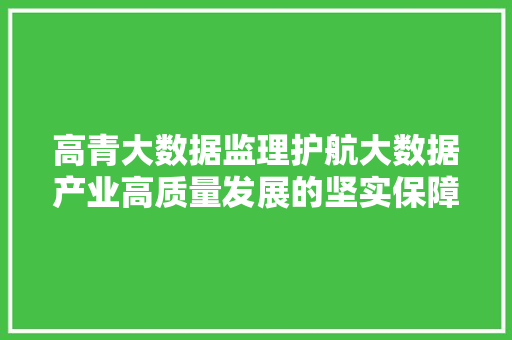 高青大数据监理护航大数据产业高质量发展的坚实保障
