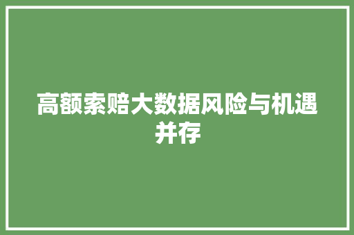 高额索赔大数据风险与机遇并存 服务器/数据库