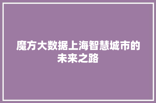 魔方大数据上海智慧城市的未来之路