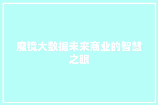 魔镜大数据未来商业的智慧之眼