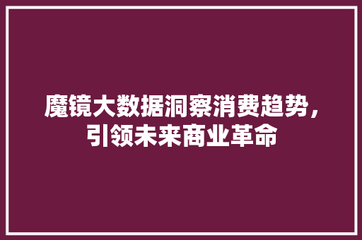 魔镜大数据洞察消费趋势，引领未来商业革命