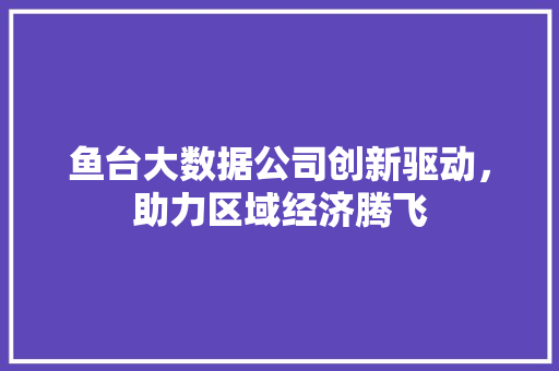 鱼台大数据公司创新驱动，助力区域经济腾飞 SEO教程